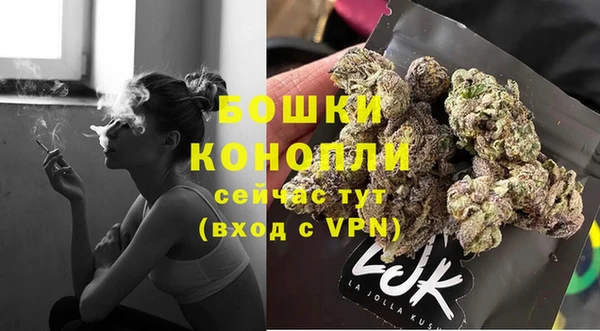 PSILOCYBIN Абаза