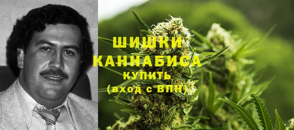 ГАЛЛЮЦИНОГЕННЫЕ ГРИБЫ Абдулино