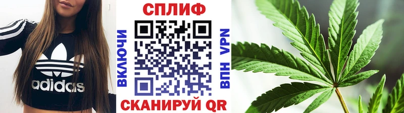 МАРИХУАНА LSD WEED  мега как зайти  Туринск 